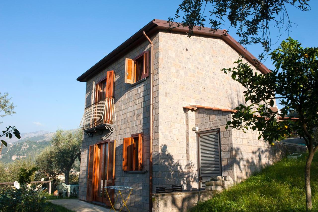 Agriturismo L'Olivara Piano di Sorrento Eksteriør billede