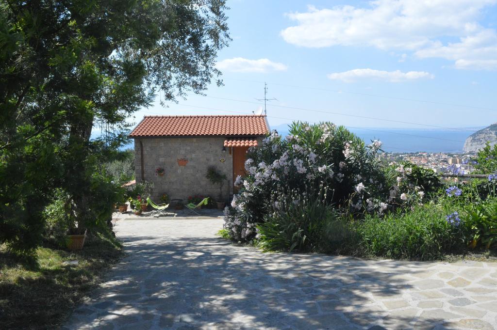 Agriturismo L'Olivara Piano di Sorrento Eksteriør billede