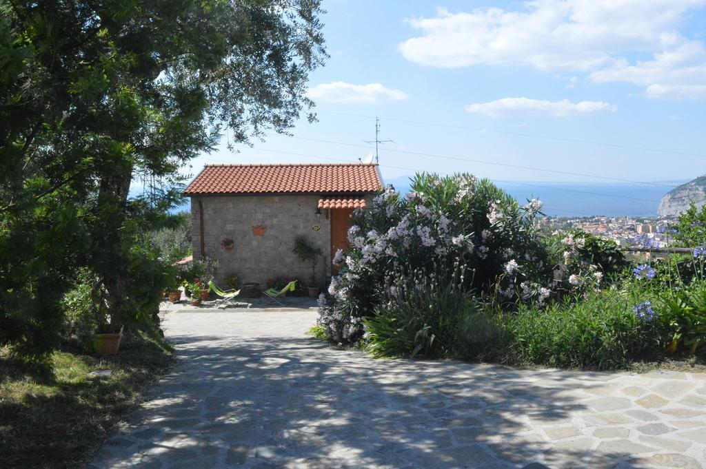 Agriturismo L'Olivara Villa Piano di Sorrento Eksteriør billede