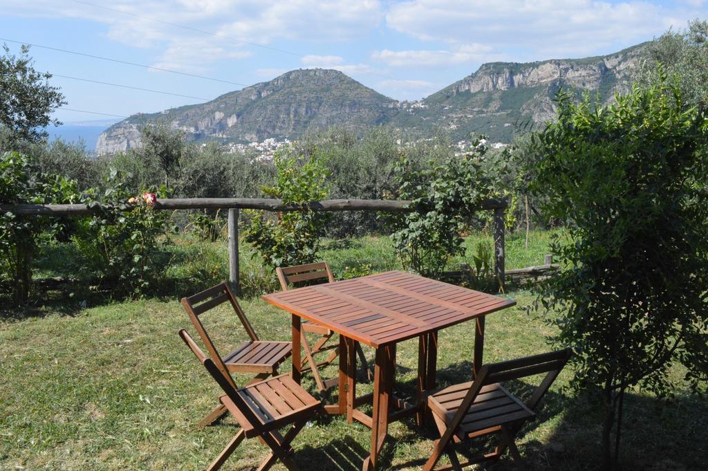 Agriturismo L'Olivara Piano di Sorrento Eksteriør billede