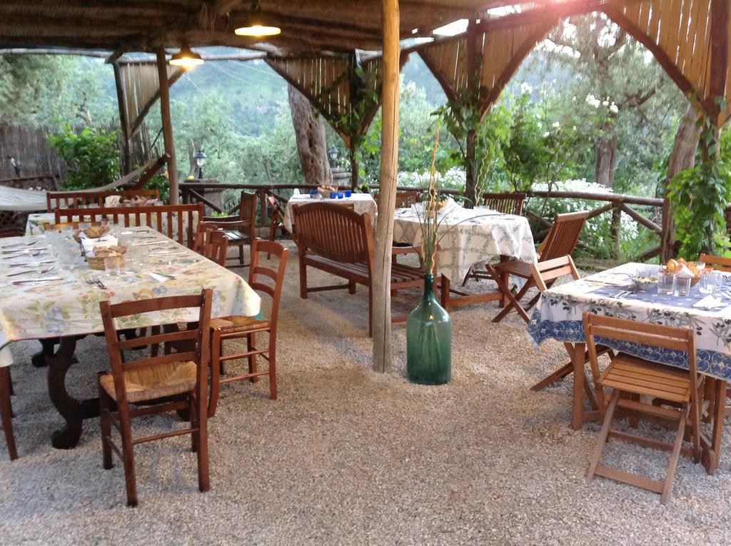 Agriturismo L'Olivara Piano di Sorrento Eksteriør billede