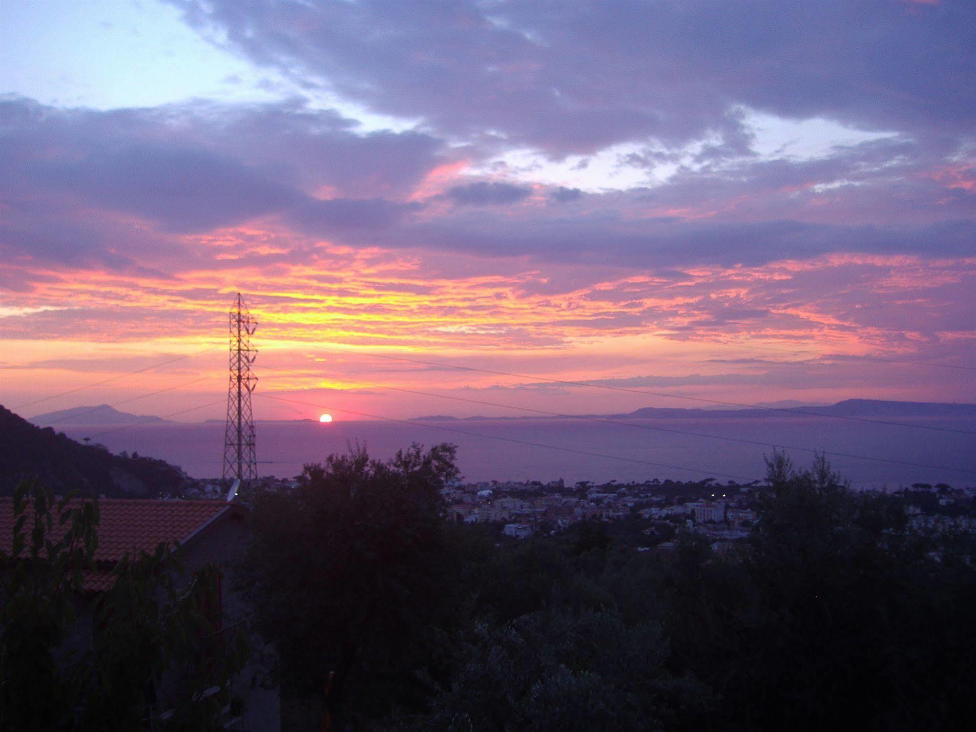 Agriturismo L'Olivara Piano di Sorrento Eksteriør billede