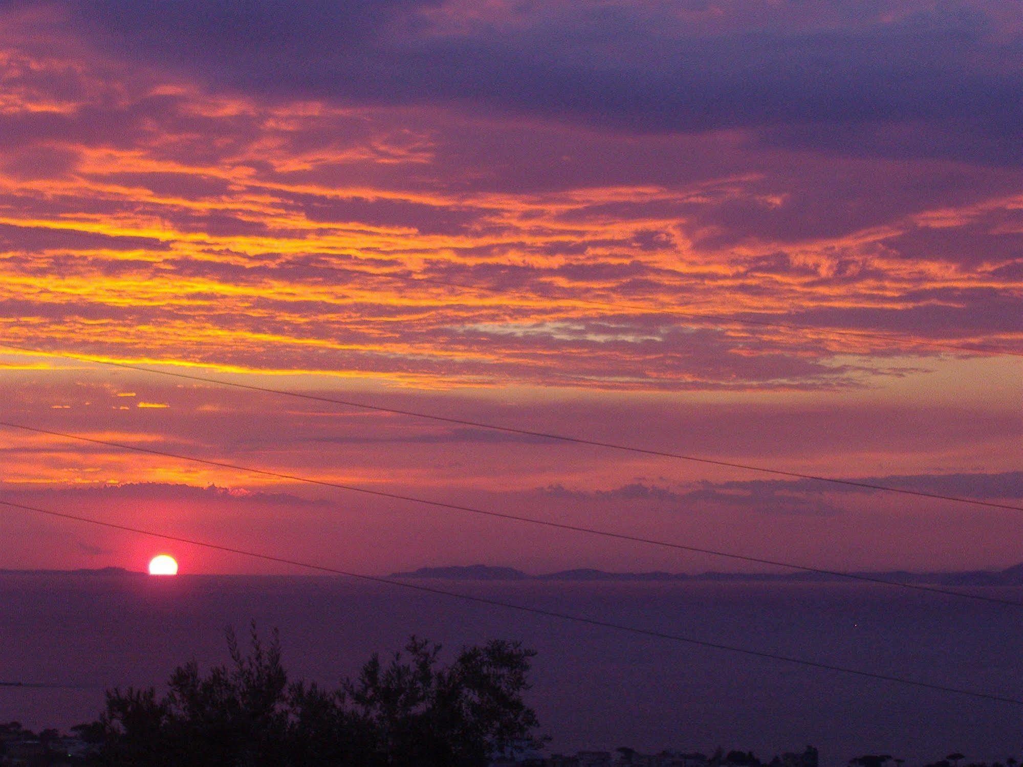 Agriturismo L'Olivara Piano di Sorrento Eksteriør billede