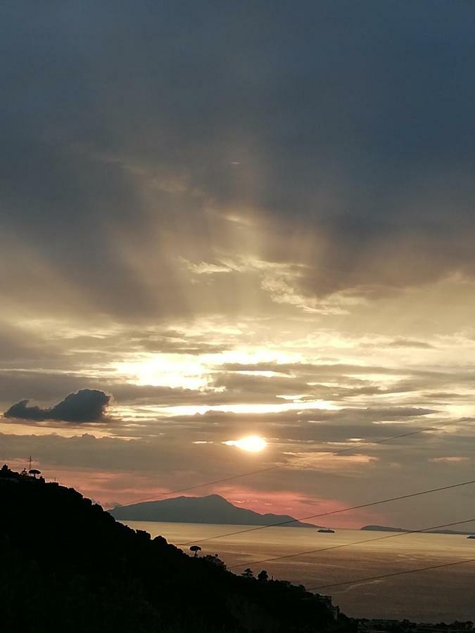 Agriturismo L'Olivara Piano di Sorrento Eksteriør billede