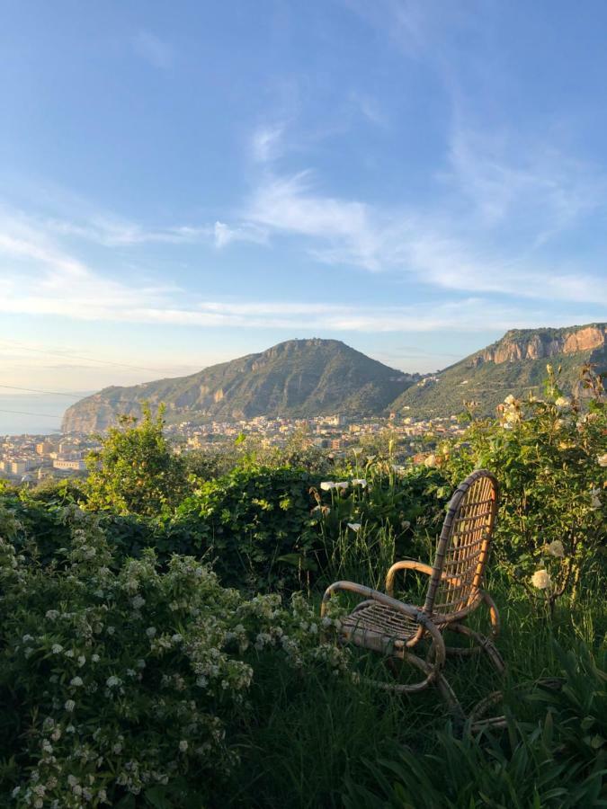 Agriturismo L'Olivara Piano di Sorrento Eksteriør billede